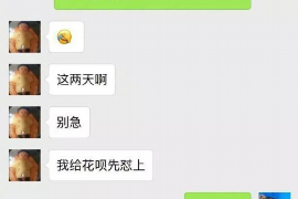 河源为什么选择专业追讨公司来处理您的债务纠纷？